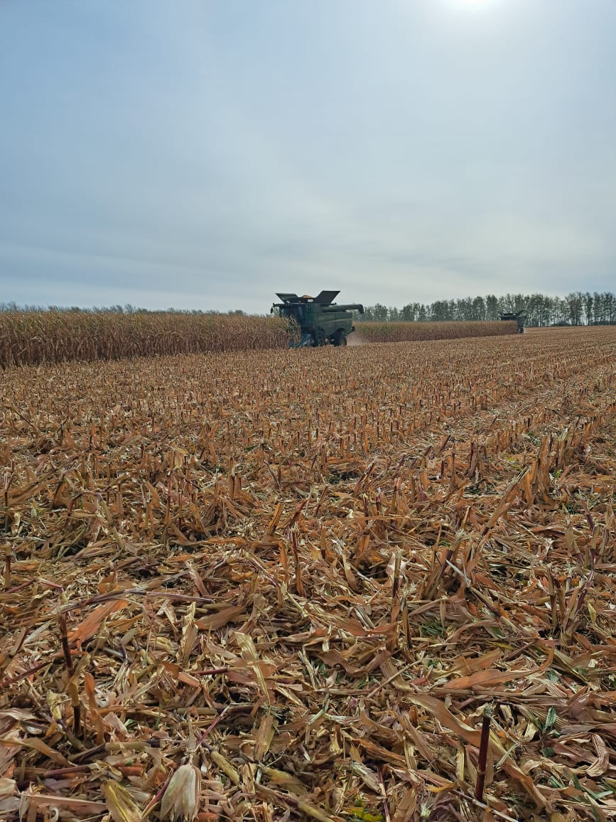 Harvesting