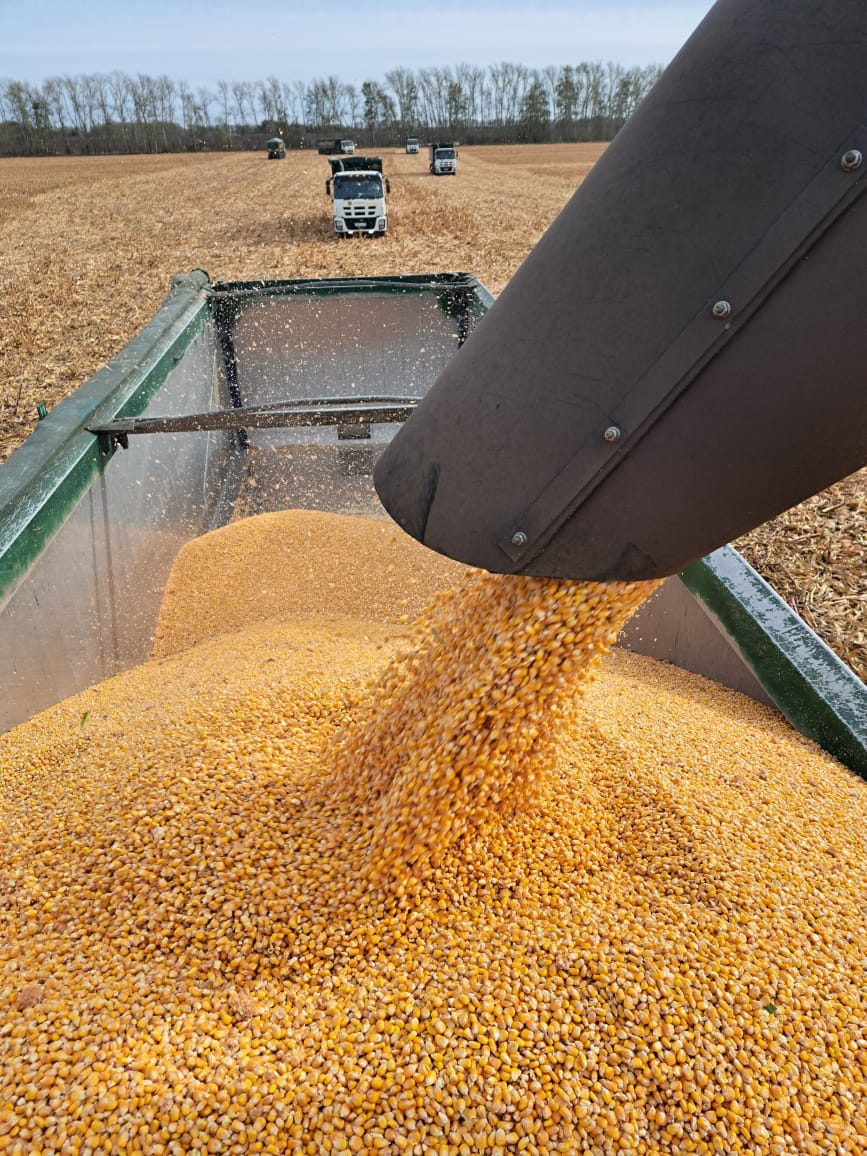 Harvesting